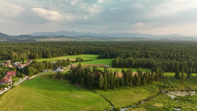 Aerial view of a village with houses and fields in a valley below forested hills in Poland in summer