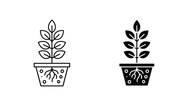 Potted plant with visible roots in clean outline and solid black silhouette vector design