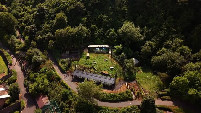 Overhead 4K 60FPS aerial video of Belfast Zoo and Cavehill in North Belfast, Northern Ireland in the UK on a bright sunny day. Produced with Rec709 colour.