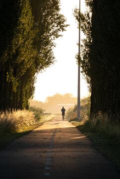 A man running in the countryside on a nice, summers moring in the Netherlands.