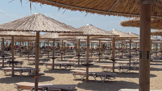 White cone shaped canopies rise above rows of sunbeds on a sandy beach beside a thatched roof edge