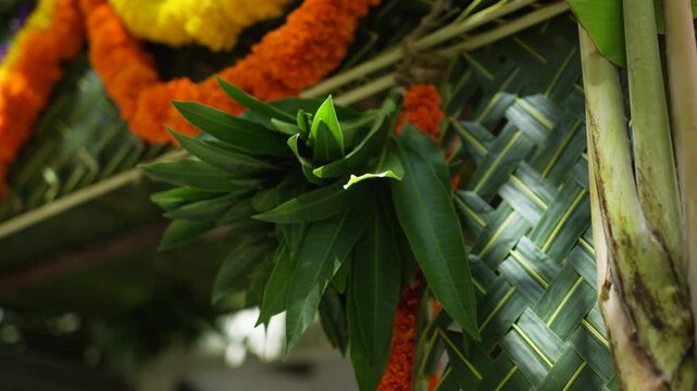 Fresh mango leaves hang on a woven coconut leaf chapra adorned with bright marigold garlands in soft daylight.