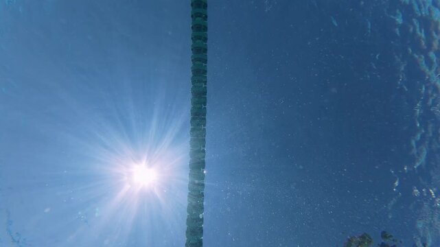 Low Angle View of Man Swimming Backstroke in Pool Under Sun