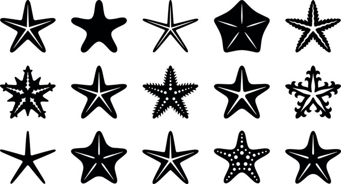 Starfish and sea star marine wildlife silhouette vector icon set featuring tropical echinoderm ocean shapes for summer beach decor.