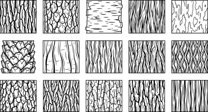 Tree bark texture and seamless wood surface pattern vector silhouette block set featuring rough organic pine birch and oak details.