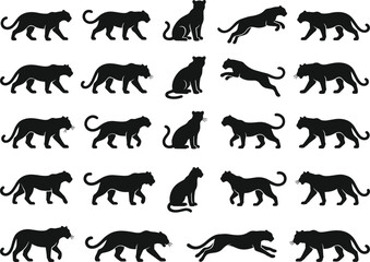 Obraz premium A collection of black panther silhouettes in various poses including walking, sitting, running, and jumping on a white background