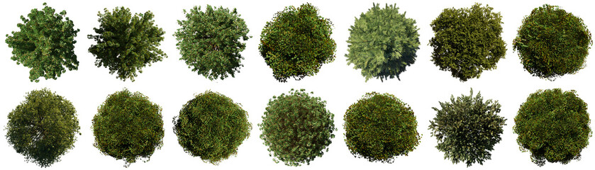 Diverse collection of green trees and bushes from an aerial top-down view. © Trieu
