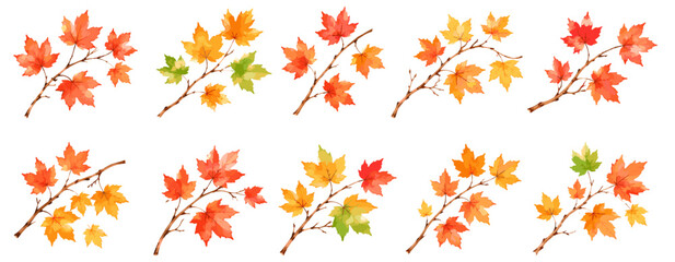 Fototapeta na wymiar Autumn maple branch watercolor clipart with colorful fall leaves, orange red yellow foliage botanical seasonal decor vector illustration
