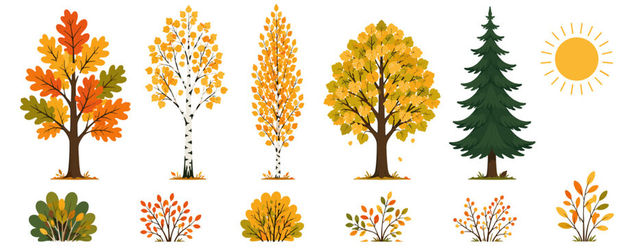 Cute autumn trees and shrubs vector illustration set with oak, birch, aspen, linden, fir, sun, fall foliage, woodland plants, seasonal landscape elements