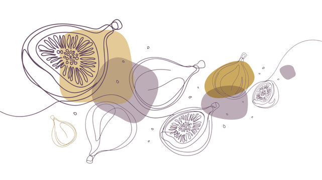 Minimalist Continuous Line Art Illustration of Whole and Sliced Figs with Abstract Organic Color Shapes for Modern Healthy Eating Kitchen Wall Art