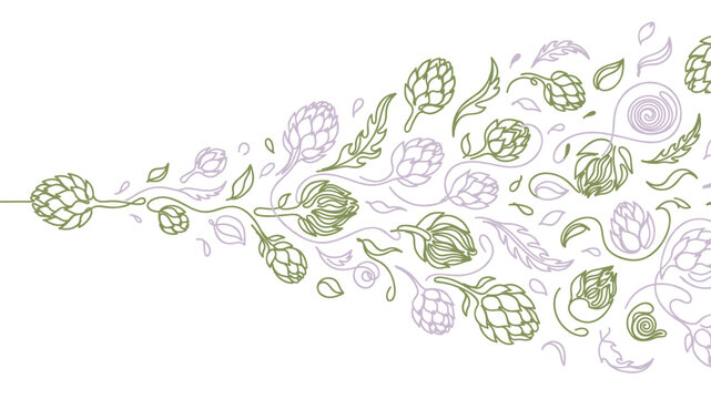 Line Art Illustration of Hops and Botanical Vines for Craft Brewery Branding and Organic Product Packaging Design for Modern Kitchen Decor