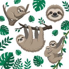 Obraz premium Cute Sloth Vector Illustration Set with Tropical Monstera Leaves and Tree Branches for Wildlife Nursery Textiles and Educational Nature Designs