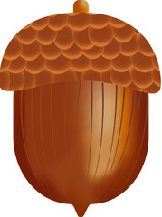 Detailed Acorn Illustration with Gradient Mesh and Textured Cap, Isolated PNG © Marron