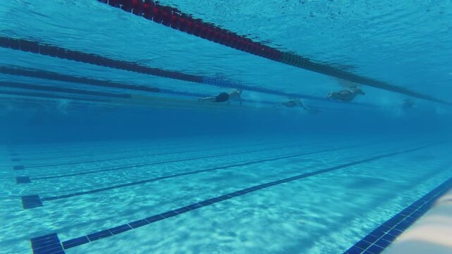 Underwater View of Swimming Pool Lanes with Swimmers