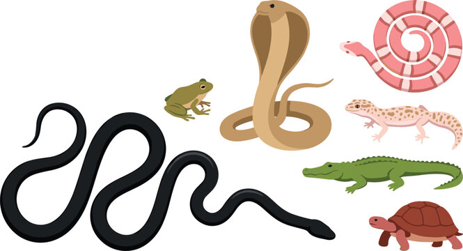 Reptiles and Amphibians Vector Icon Set Featuring Black Serpent King Cobra Pink Milk Snake Crocodile Leopard Gecko Frog and Red Tortoise