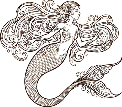 Beautiful vintage style mythological mermaid vector illustration with long flowing ornate hair scaled fish tail and flourishes