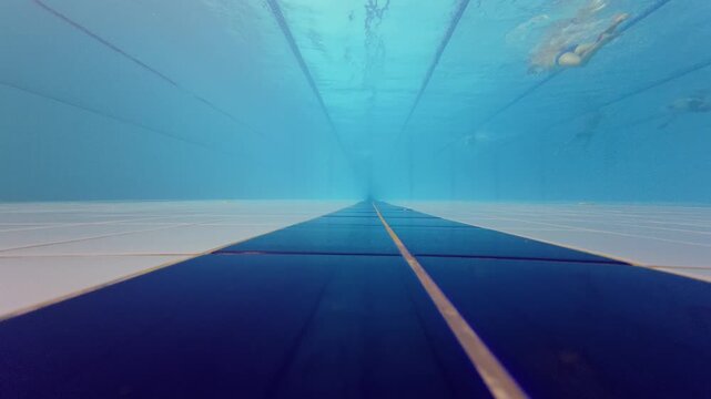 Underwater View of Swimming Pool Lanes with Swimmers