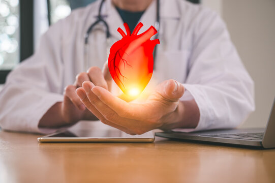 Medical health and wellness concept, Doctor holding a red heart at hospital office. Medical health care and doctor staff service.