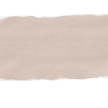 Wide Blank Torn Paper Strip