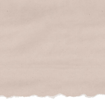 Square Blank Ripped Paper