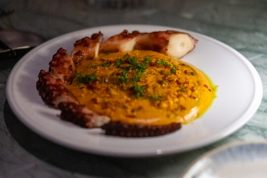 Grilled octopus leg served with creamy spiced potato espuma and rich chorizo sauce