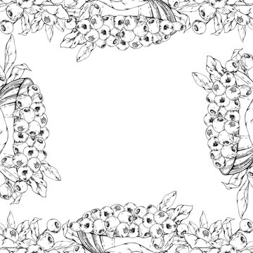 Woodland edible bilberry, huckleberry forest berries, blueberry in glass bowls. Isolated border square frame hand drawn in vector ink, copy space. Cottagecore journals, pantry labels, kitchen prints