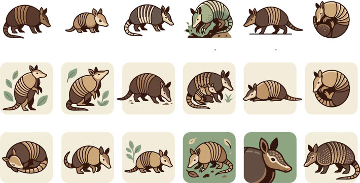 Detailed armadillo vector icon set featuring various species behaviors and poses in a flat artistic style