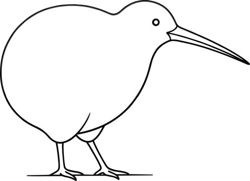 Cute kiwi bird outline icon minimal new zealand wildlife animal line art vector illustration isolated on white