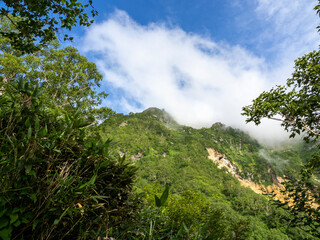 Fototapeta premium Sunlit Green Mountain Ridge Emerging from Clouds Under a Bright Blue Sky