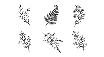 Fototapeta premium Minimalist plant branch line art vector bundle botanical herb outline drawing icon set 