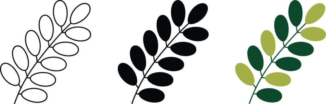 Moringa oleifera leaf branch elements in thin black outline, solid silhouette, and green color