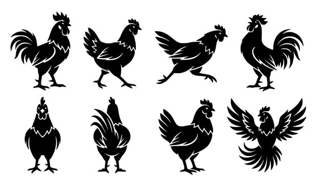 Hand Drawn Chicken Doodle Vector Collection with Farm Bird Sketches