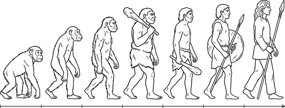 Human evolution timeline vector illustration from primitive ape to modern prehistoric hunter holding a sharp spear