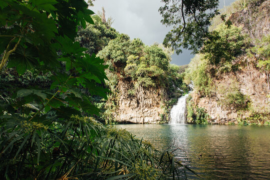 Paysage d'une cascade d'eau dans un bassin d'une for&ecirc;t humide. Bassin de Saint-Gilles sur l'&icirc;le de La R&eacute;union. Paysage paradisiaque d'une chute d'eau dans une for&ecirc;t humide et tropicale. 