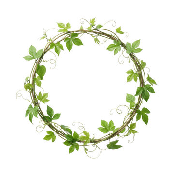 Woodland Vine Circle Frame Isolated on White Background