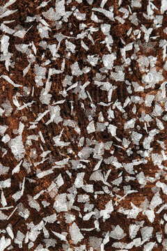 Macro photo of frost crystals on textured wooden tree surface in winter cold. Pattern of snowflakes on slice of wood as environment background. Concept of nature, season, natural decorative pattern.