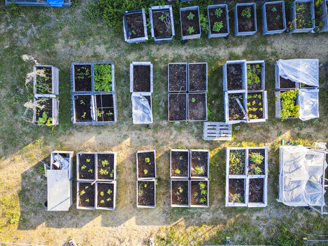 Aerial view of raised garden beds in Hisingen with various plants, soil, and protective plastic covers in a community garden in Gothenburg, Vastra Gotaland Count, Sweden.