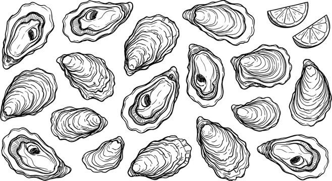 Vintage hand drawn oyster shell vector set featuring black line art sketch illustrations with fresh lemon slices isolated on white background.