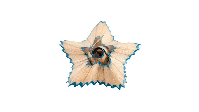 Single wooden pencil shaving with a vibrant blue lead core shaped like a star captured in high resolution detail isolated for your creative project on transparent background
