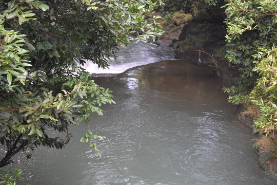 Rushing stream flows through dense green foliage. Water crashes gently over mossy rocks. Lush trees frame the natural flowing current. Calm riverbed invites quiet reflection