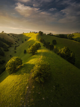 Aerial view of Zagajicka brda featuring rolling green hills, scattered trees, and soft golden hour light in Vrsac, Vojvodina, Serbia.