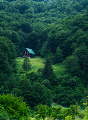 Obraz premium Beautiful countryside house on a green meadow surrounded by dense forest on a hillside.