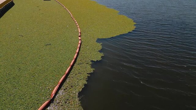 Drone pushes toward a floating containment boom on Lake Paranoa, Brasilia, Federal District, Brazil, separating dense invasive aquatic vegetation from open freshwater along the urban lakeshore.