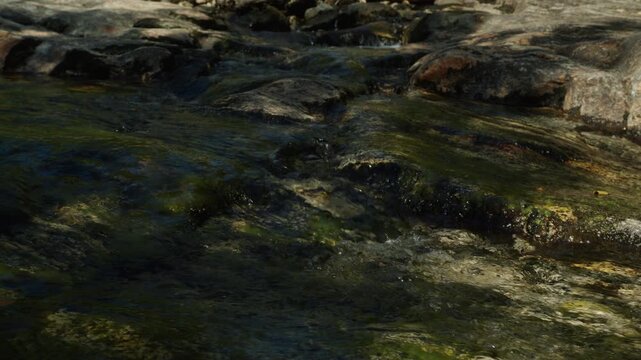 Low river water glides over dark moss-covered rock slabs in soft sunlight, with small ripples catching light across the Norwegian nature woods forest.