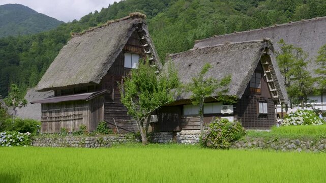 Stunning traditional straw roof houses in Shirakawa-Go in Japan