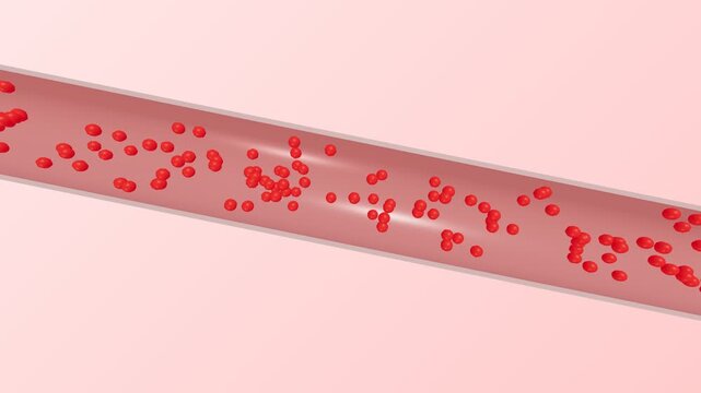Microscopic View of Red Blood Cells Flowing Through a Human Vein.