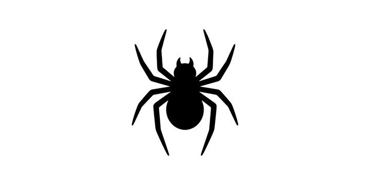 Black spider silhouette, on white background, arachnid eight