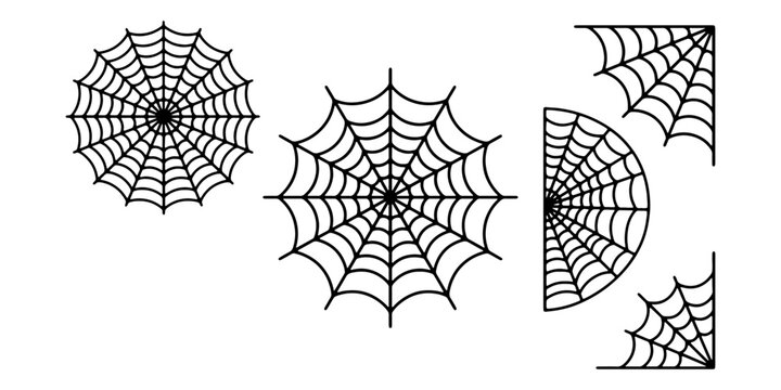 Intricate black spider web patterns with geometric and organic