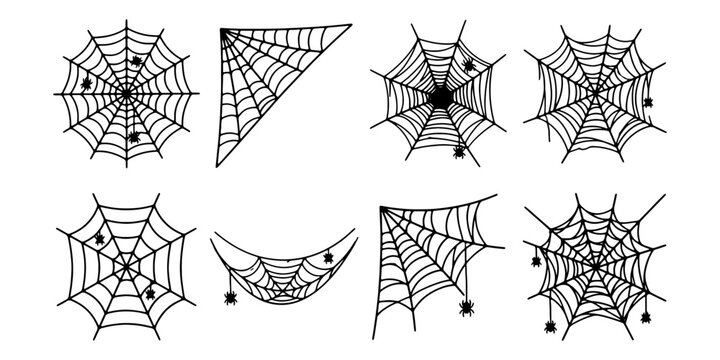 Intricate black and white spider web silhouettes with spiders