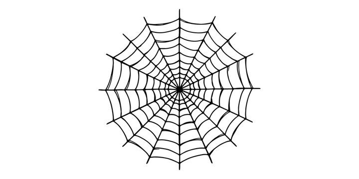 Intricate black spider web silhouette, radial symmetry, hand drawn